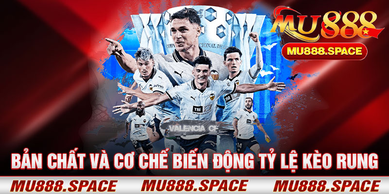 Bản Chất Và Cơ Chế Biến Động Tỷ Lệ Kèo RungV