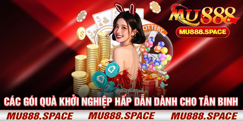 Các Gói Quà Khởi Nghiệp Hấp Dẫn Dành Cho Tân Binh