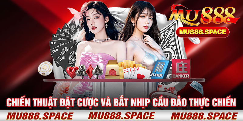Chiến Thuật Đặt Cược Và Bắt Nhịp Cầu Đảo Thực Chiến