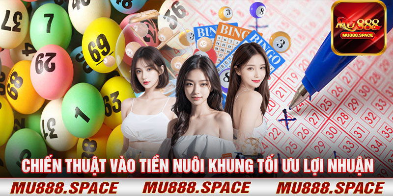 Chiến Thuật Vào Tiền Nuôi Khung Tối Ưu Lợi Nhuận