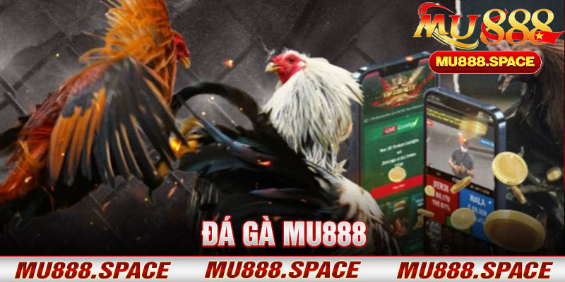 Đá Gà Mu888