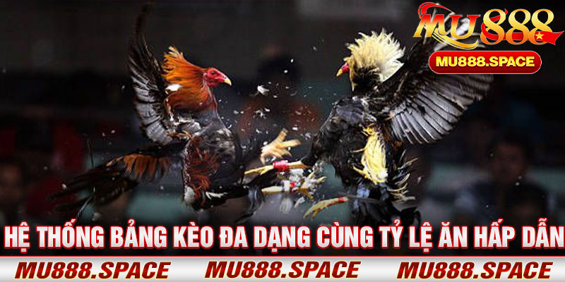 Hệ Thống Bảng Kèo Đa Dạng Cùng Tỷ Lệ Ăn Hấp Dẫn